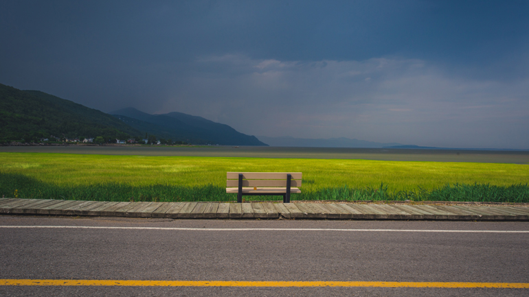 Πώς θα ήταν η Γη έναν χρόνο μετά την εξαφάνιση των ανθρώπων;
